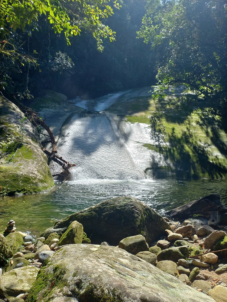 Vivência na Mata Atlântica Trilha Cabuçu - Santos SP