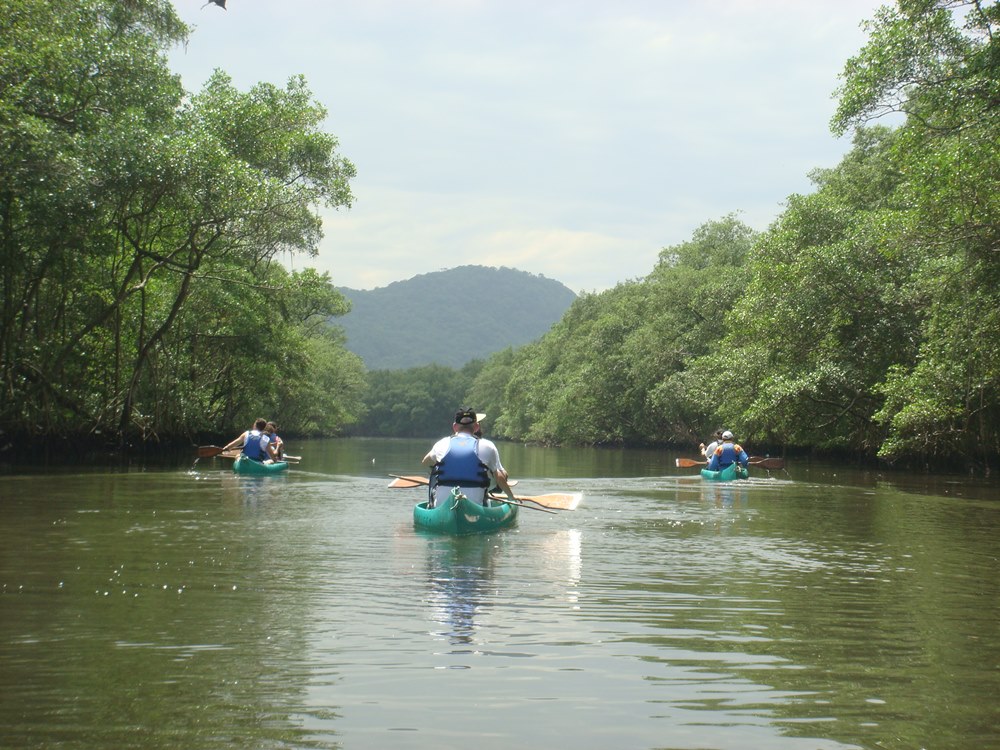 Canoagem Ecológica no Manguezal - Cubatão SP