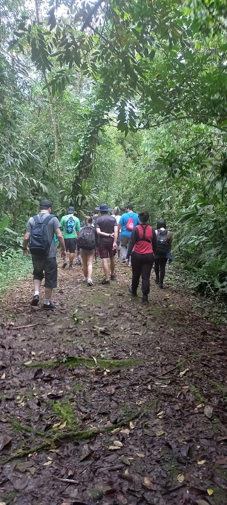 Vivência na Mata Atlântica Trilha Cabuçu - Santos SP