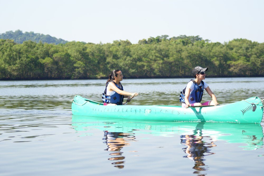 Canoagem Ecológica no Manguezal - Cubatão SP