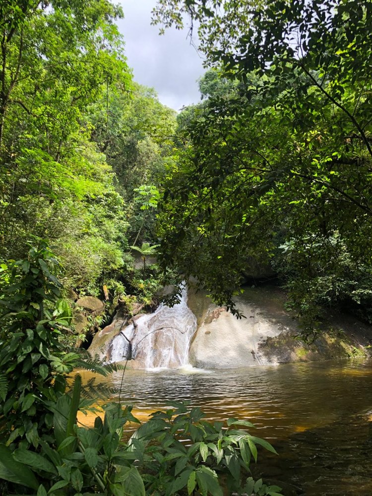 Trilha da Ruína - Santos SP