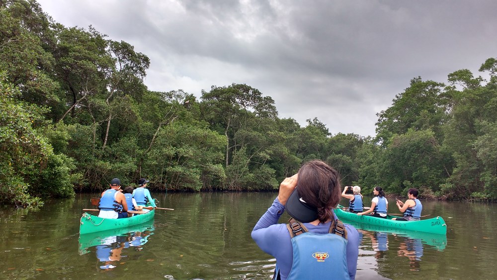 Canoagem Ecológica no Manguezal - Cubatão SP