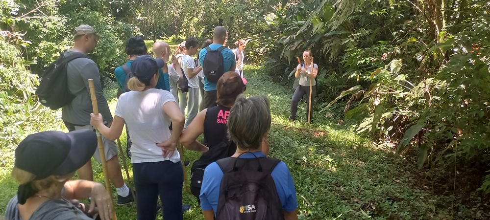 Vivência na Mata Atlântica Trilha Cabuçu - Santos SP