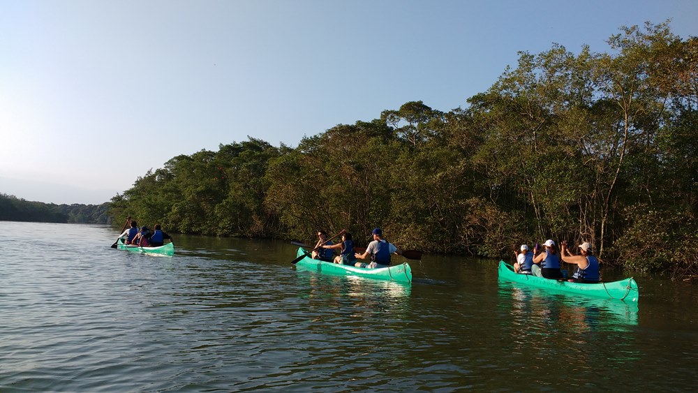 Canoagem Ecológica no Manguezal - Cubatão SP